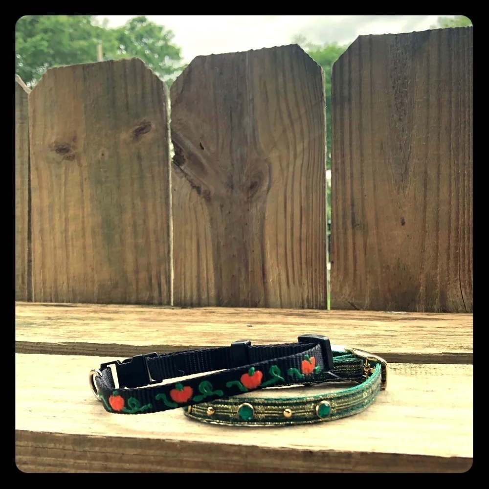 A Pair of Seasonal Holiday Pet Collars New Small